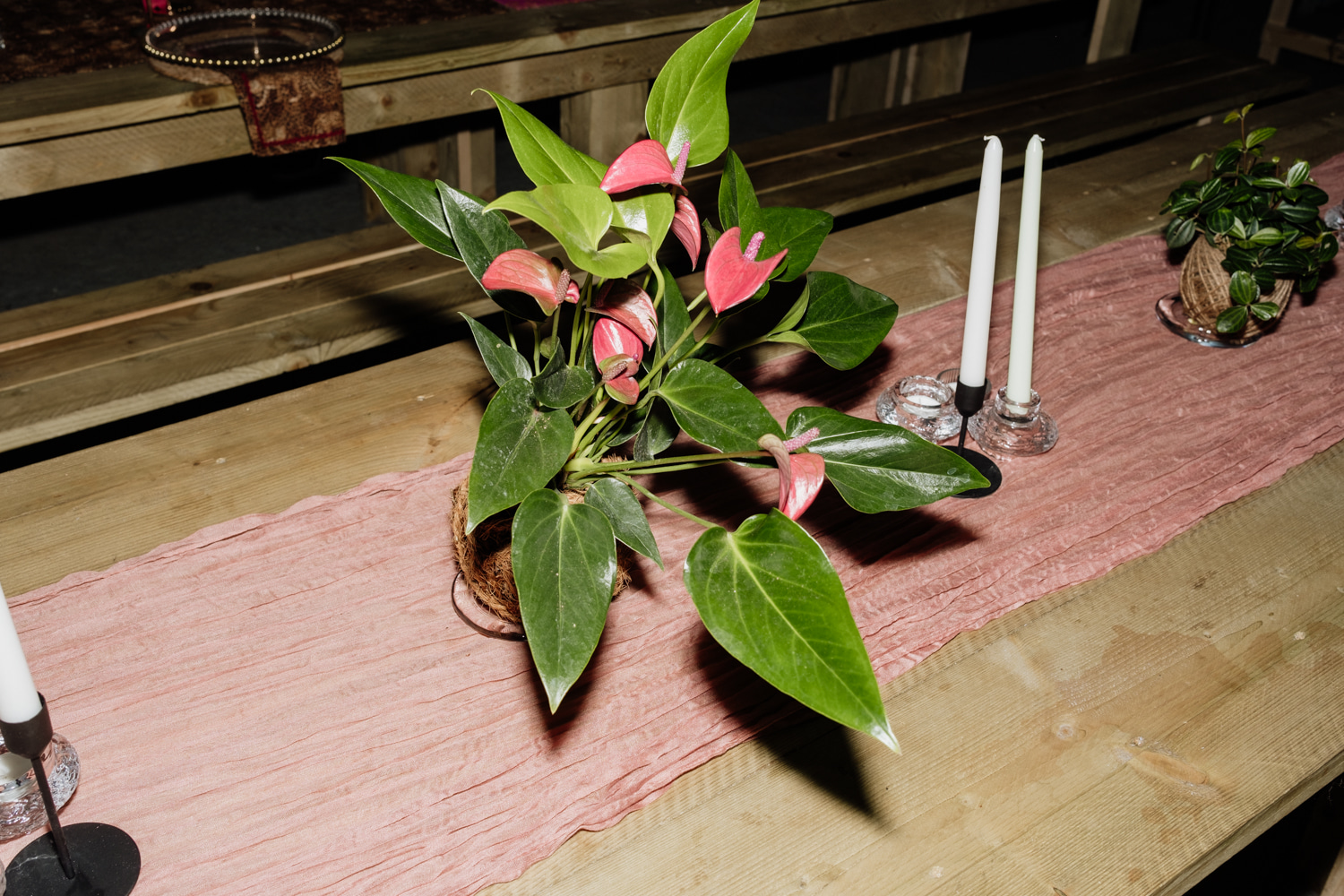 IntoNature Kokedama Tablescapes IntoNature Kokedama Tablescapes