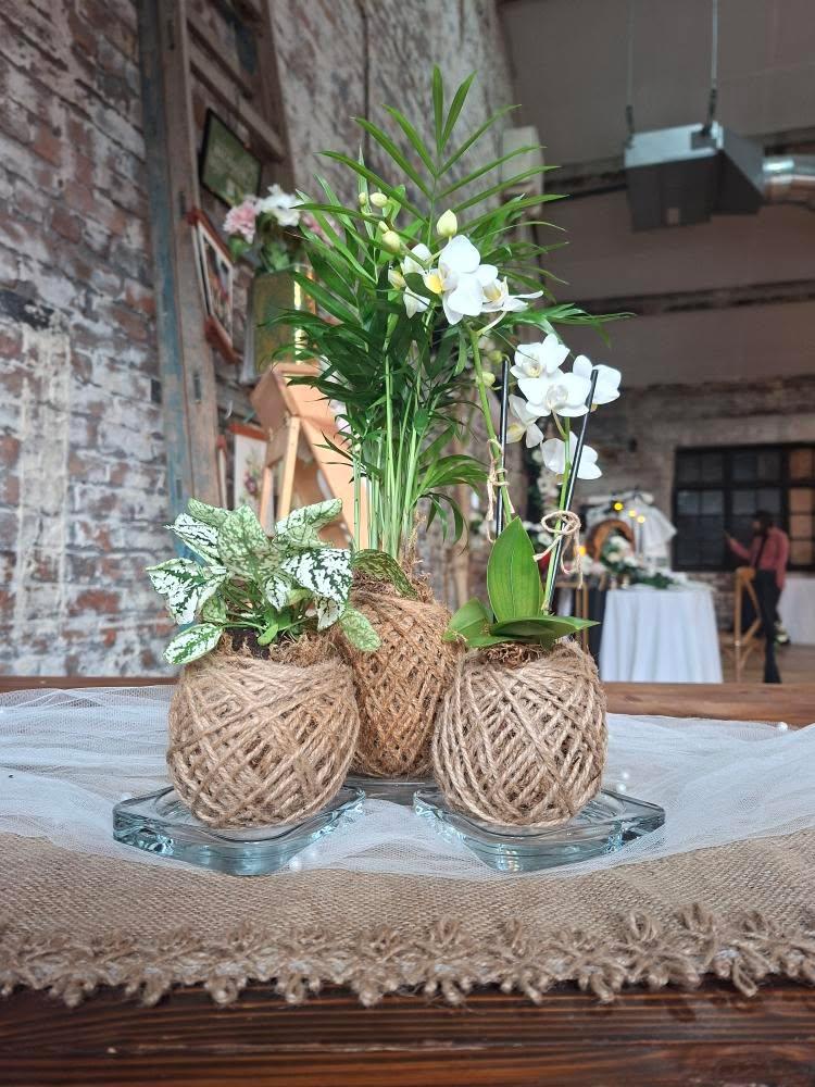IntoNature Kokedama Tablescapes IntoNature Kokedama Tablescapes