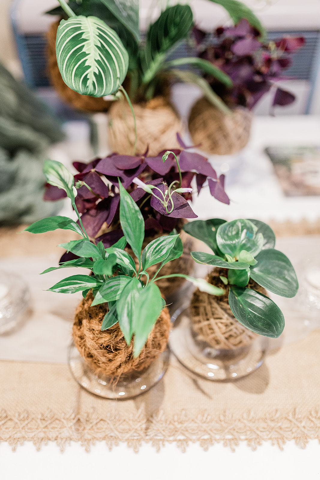 IntoNature Kokedama Tablescapes IntoNature Kokedama Tablescapes