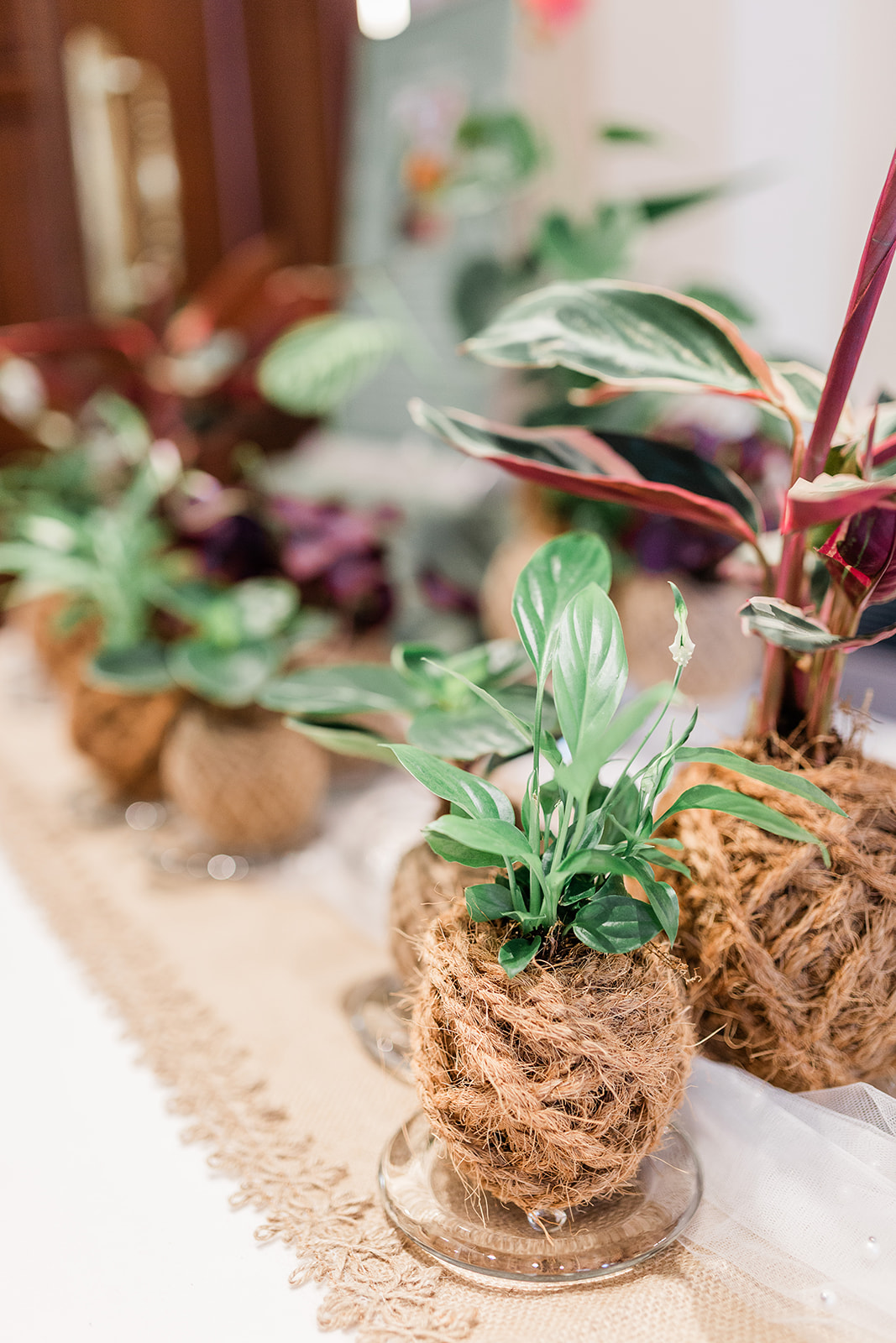 IntoNature Kokedama Tablescapes